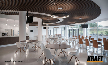 Cubic rail concentric circles on the ceiling? Nothing complicated! (+4 photo)